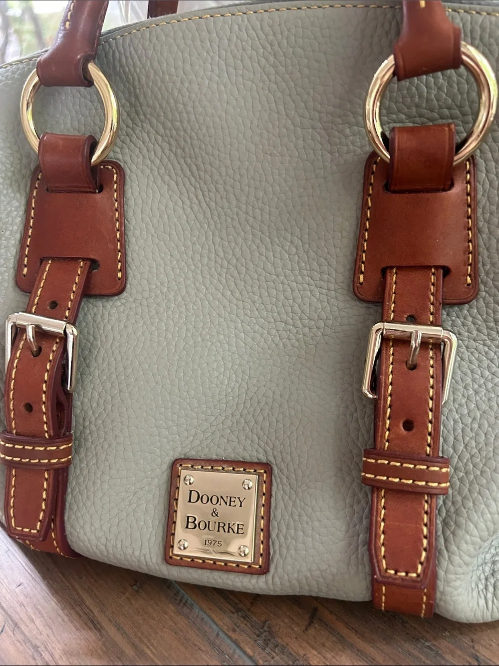 Dooney & Bourke Sage Pebble Leather Satchel with Brown Trim